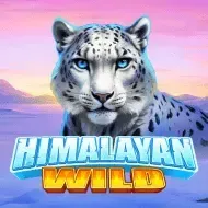 Himalayan WildPragmatic Play